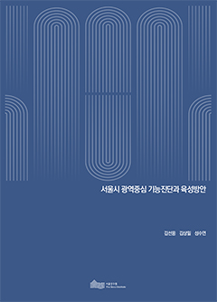 서울시 광역중심 기능진단과 육성방안 