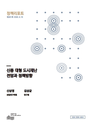 신종 대형 도시재난 전망과 정책방향 