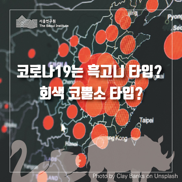 코로나19는 흑고니 타입? 회색 코뿔소 타입? 