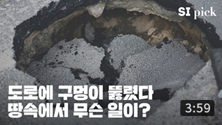 [SI Pick] 서울의 지하세계를 안전하게 다스리는 법 