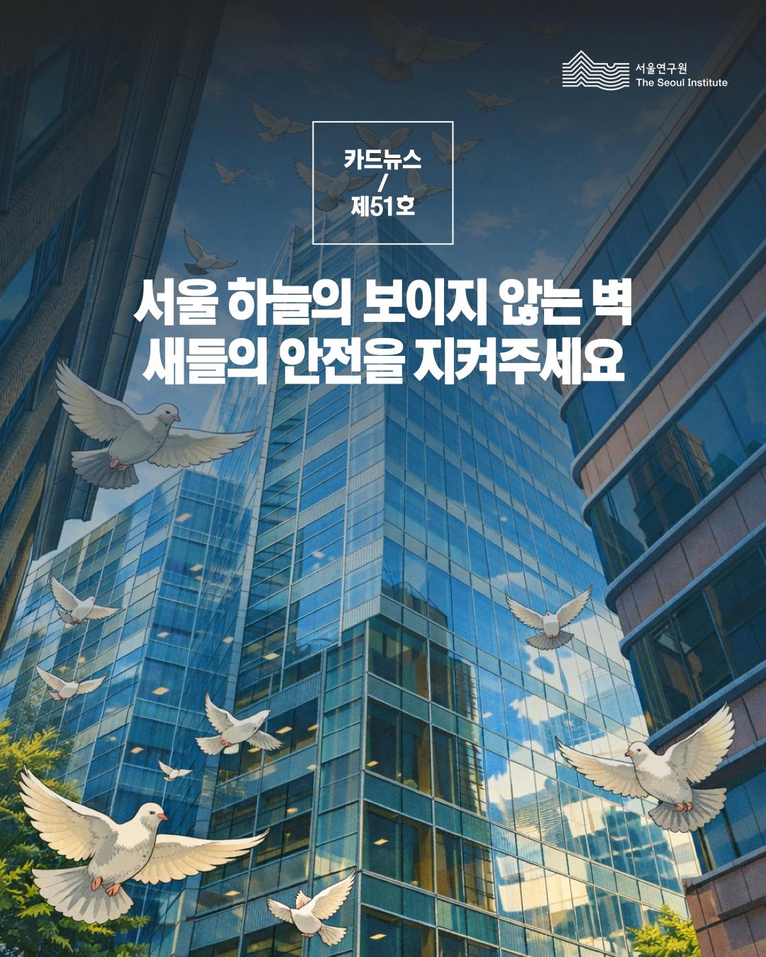 서울 하늘의 보이지 않는 벽, 새들의 안전을 지켜주세요 이미지