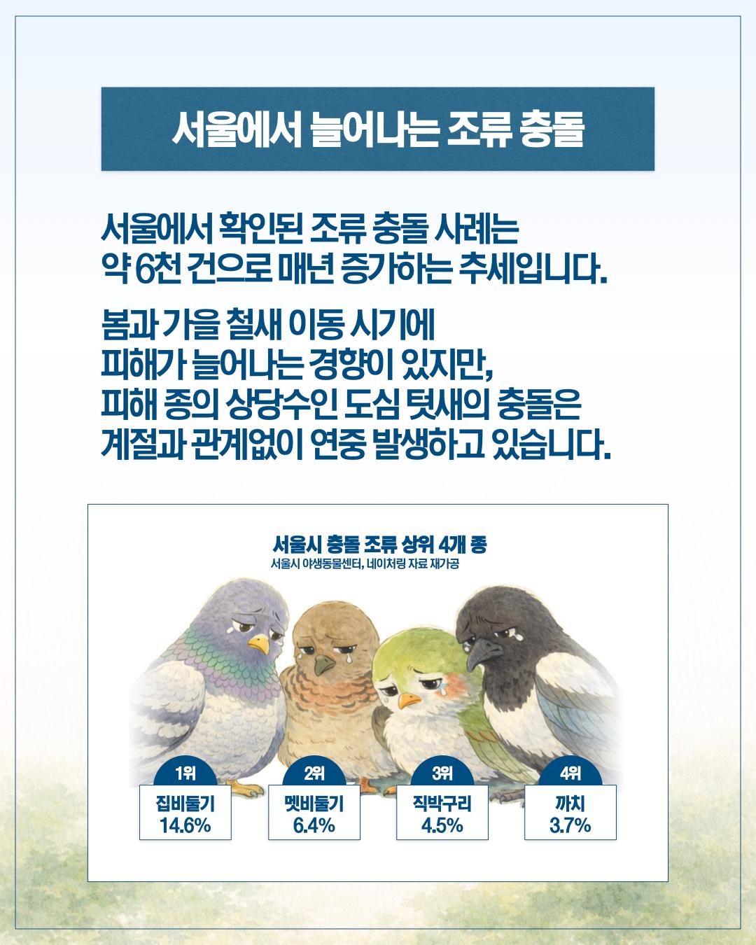 서울 하늘의 보이지 않는 벽, 새들의 안전을 지켜주세요 이미지