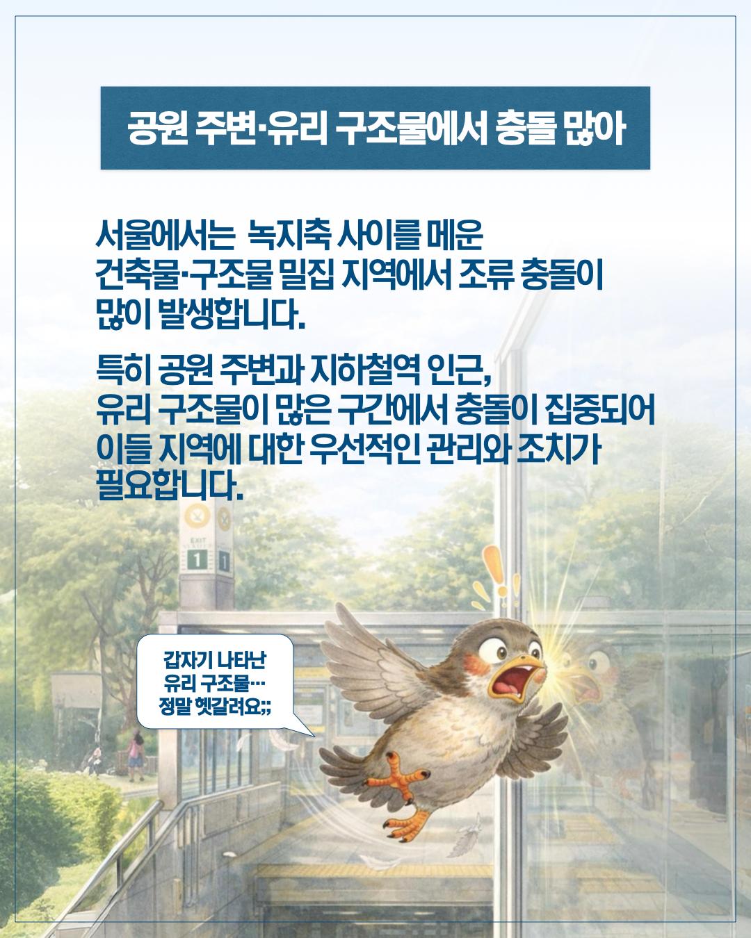 서울 하늘의 보이지 않는 벽, 새들의 안전을 지켜주세요 이미지
