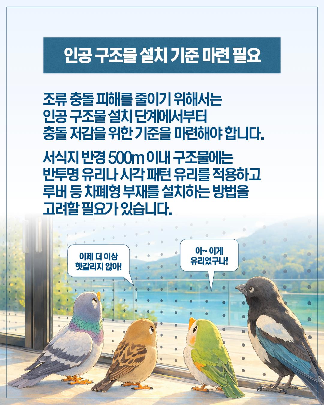 서울 하늘의 보이지 않는 벽, 새들의 안전을 지켜주세요 이미지