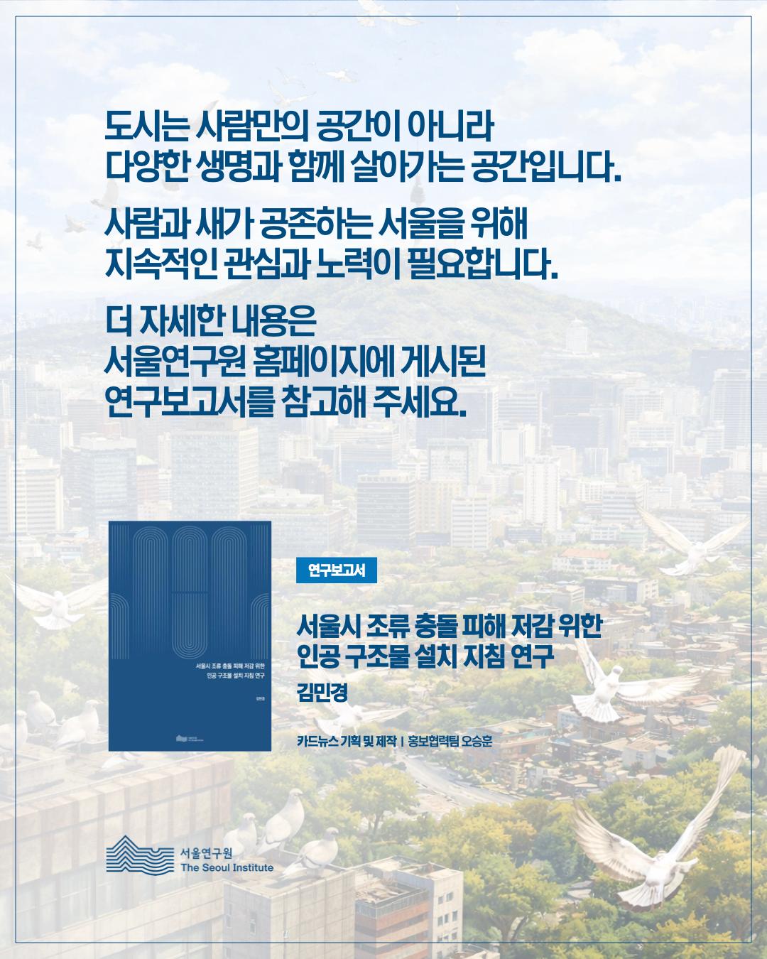 서울 하늘의 보이지 않는 벽, 새들의 안전을 지켜주세요 이미지